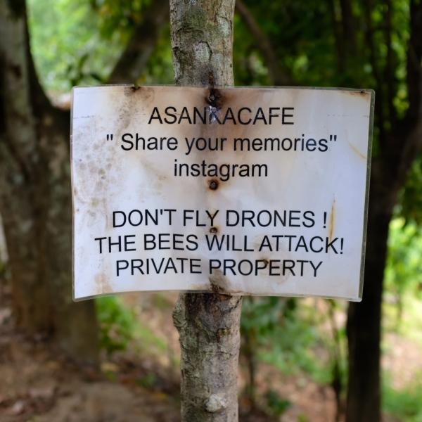 A day in the life of a Dronester :-)
